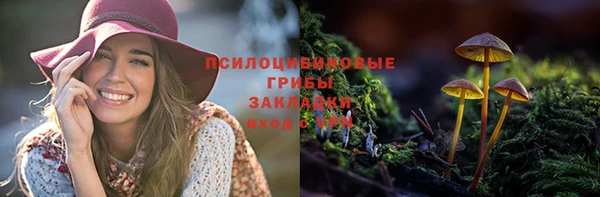 spice Россошь