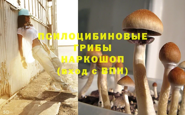 дживик Ростов