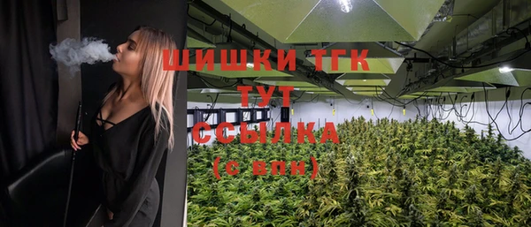 прущие грибы Дегтярск