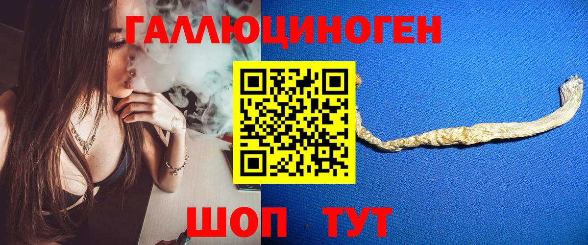 Галлюциногенные грибы Cubensis Тайшет
