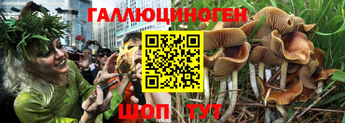 Гашиш  Тайшет  Вход с VPN  Cocaine  NBOMe  Мефедрон   МЕФ 