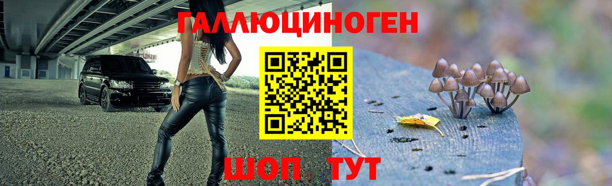 Галлюциногенные грибы Psilocybine cubensis Тайшет