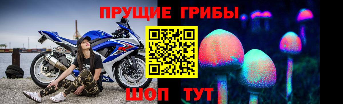 COCAIN Тайшет