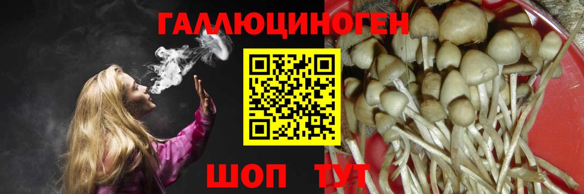 Тайшет  Галлюциногенные грибы Cubensis  Вход с VPN  Галлюциногенные грибы прущие грибы 