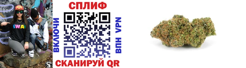 Бошки марихуана OG Kush Тайшет